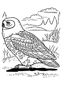 صفحات تلوين طيور – الصفحة 109