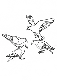 صفحات تلوين طيور – الصفحة 125