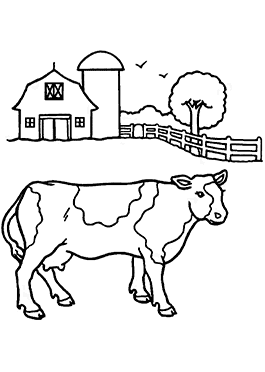 رسومات أبقار للتلوين