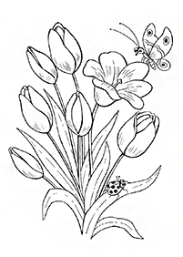 رسومات زهور للتلوين