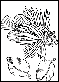 adults coloring pages - page 109