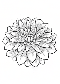 adults coloring pages - page 112