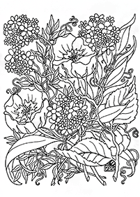 adults coloring pages - Page 211
