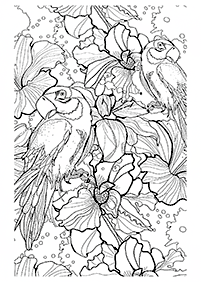adults coloring pages - page 32