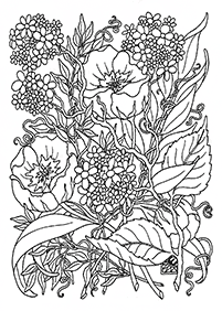 adults coloring pages - page 58