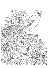 adults coloring pages - page 9