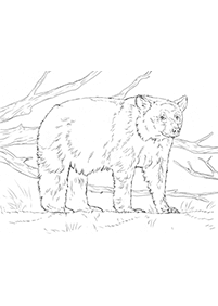 bears coloring pages - Page 25