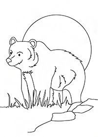 bears coloring pages - page 54