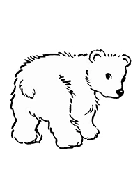 bears coloring pages - page 71