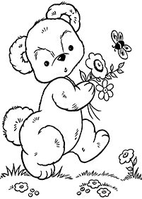 bears coloring pages - page 79