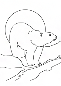 bears coloring pages - page 95