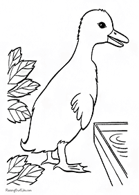bird coloring pages - page 100