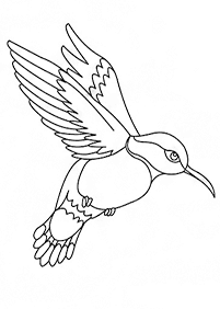 bird coloring pages - page 101