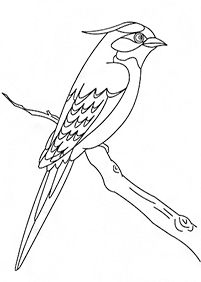 bird coloring pages - page 103