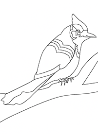 bird coloring pages - page 108