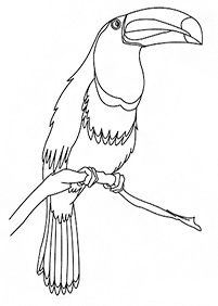 bird coloring pages - page 112