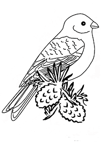 bird coloring pages - page 113