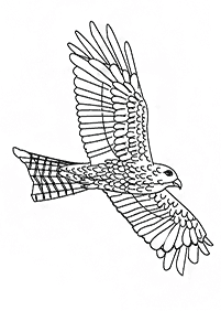 bird coloring pages - page 115