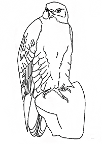 bird coloring pages - page 116