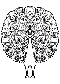 bird coloring pages - page 118