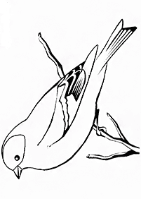 bird coloring pages - page 121