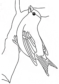 bird coloring pages - page 122