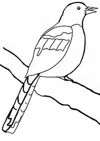 bird coloring pages - page 123
