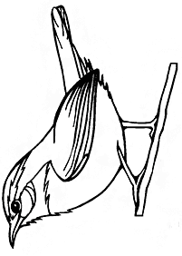 bird coloring pages - page 124