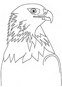 bird coloring pages - page 130