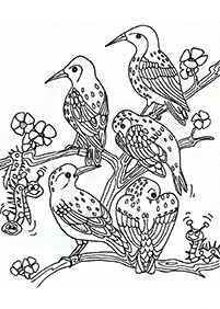 bird coloring pages - page 133