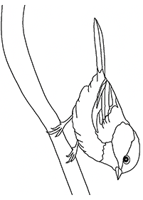 bird coloring pages - page 135