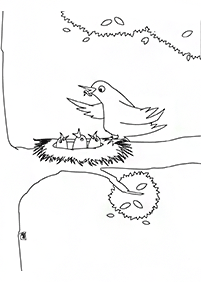 bird coloring pages - page 137