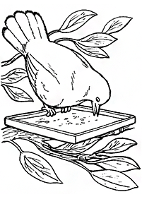 bird coloring pages - page 138