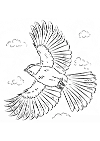 bird coloring pages - page 17