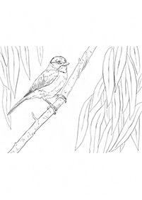 bird coloring pages - Page 21