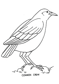 bird coloring pages - Page 27