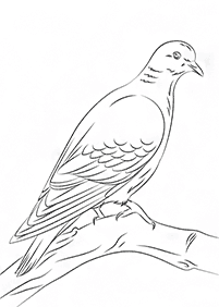 bird coloring pages - Page 29