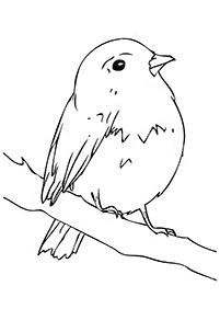 bird coloring pages - page 35