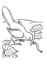 bird coloring pages - page 36