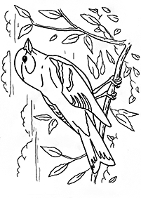 bird coloring pages - page 4