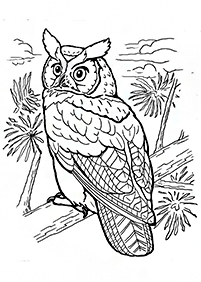 bird coloring pages - page 40