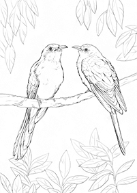 bird coloring pages - page 49