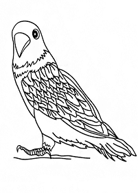bird coloring pages - page 51