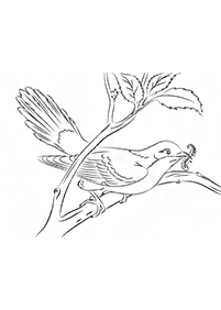 bird coloring pages - page 53