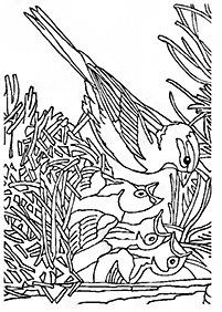 bird coloring pages - page 56