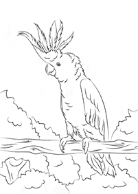 bird coloring pages - page 61