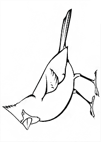 bird coloring pages - page 62