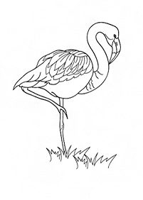 bird coloring pages - page 63