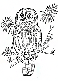 bird coloring pages - page 64
