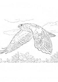 bird coloring pages - page 65